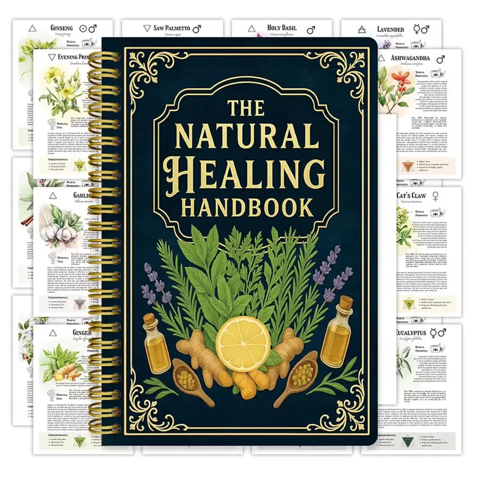 Health & Wellness Japan - Healing Handbook By Luna Filby English