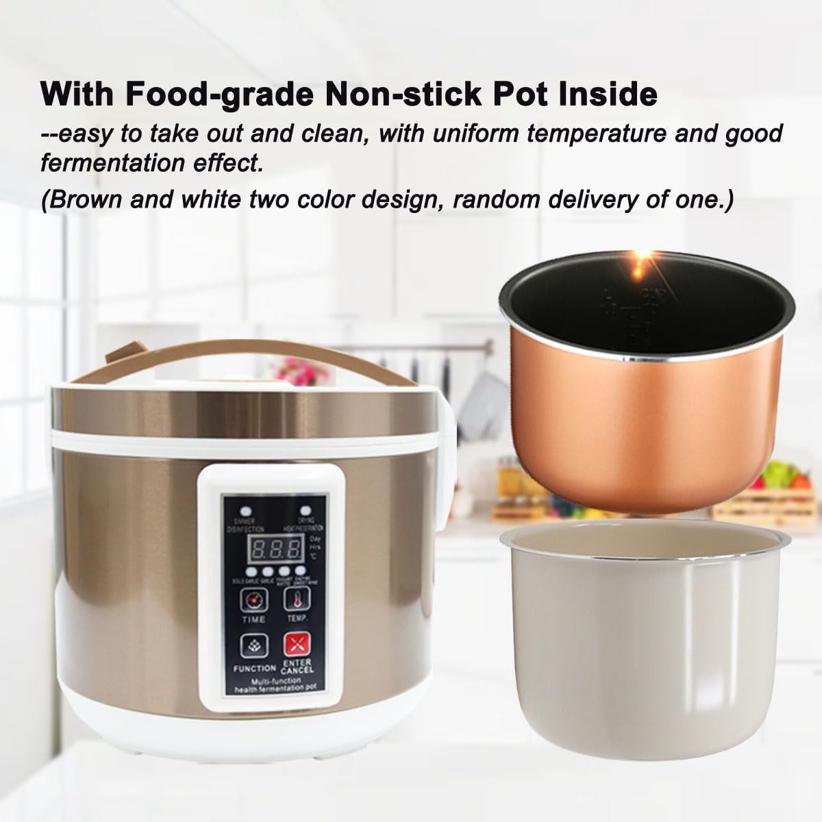 6L Black Garlic Fermenter Mult - Health & Wellness Gordon Edlin บทวิจารณ์และราคา