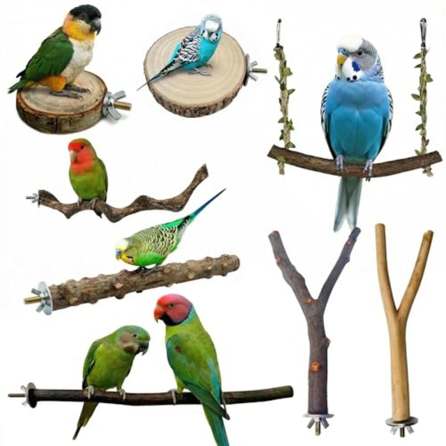 8PCS natural wood bird perches - Health & Wellness Japan บทวิจารณ์และราคา