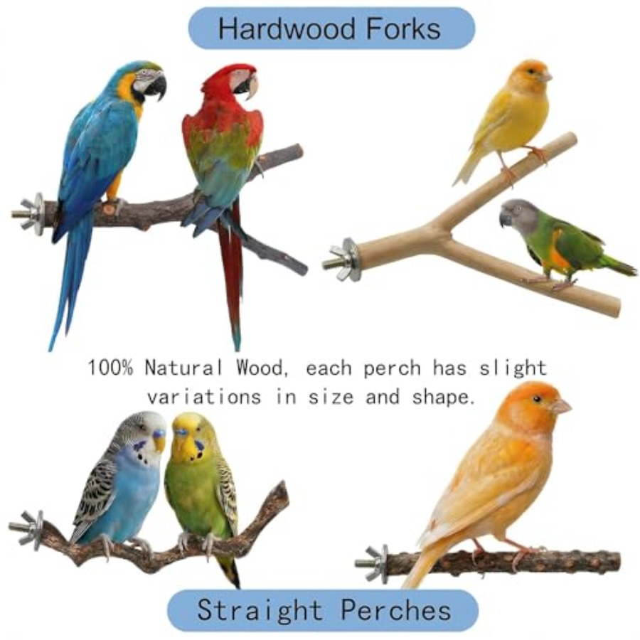 8PCS natural wood bird perches - Health & Wellness Japan บทวิจารณ์และราคา