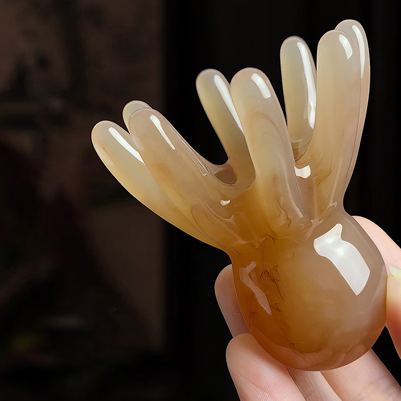 2Pcs Resin Octopus Comb Head M - Health & Wellness Gordon Edlin บทวิจารณ์และราคา