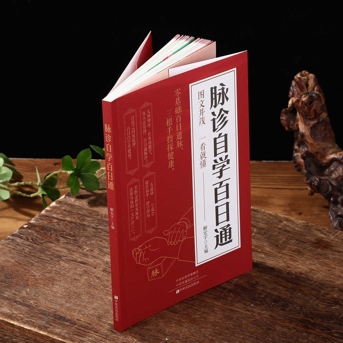 Pulse Diagnosis Self Study Hun - Health & Wellness Japan บทวิจารณ์และราคา
